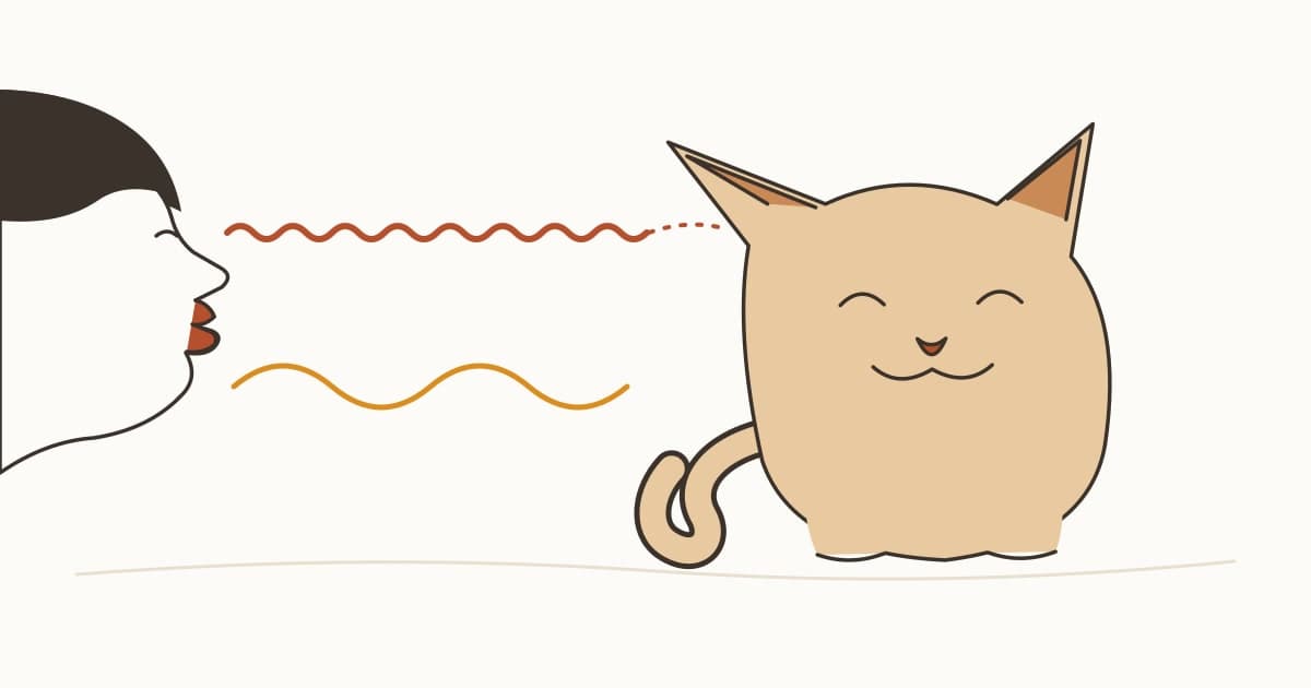 猫なで声は届いている？キャットダイレクテッドスピーチの研究