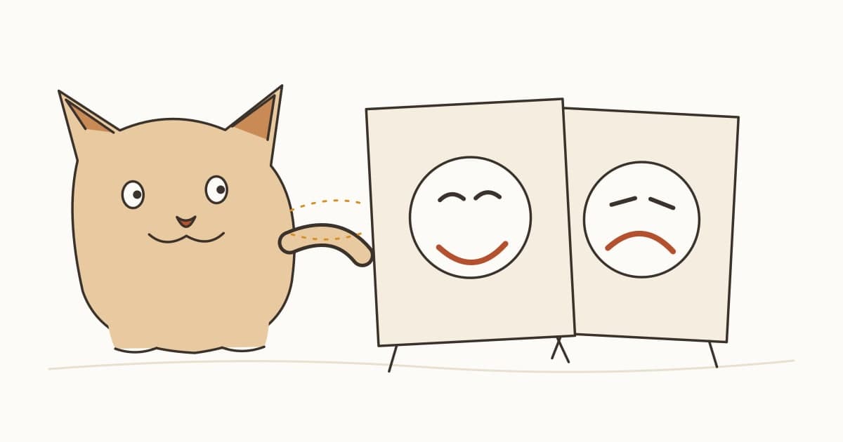 猫は人の感情を読み取れる？表情・声・においの研究