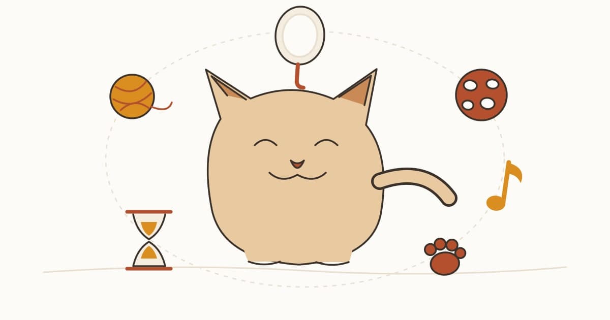 猫の知能はどう測る？認知実験の方法と限界