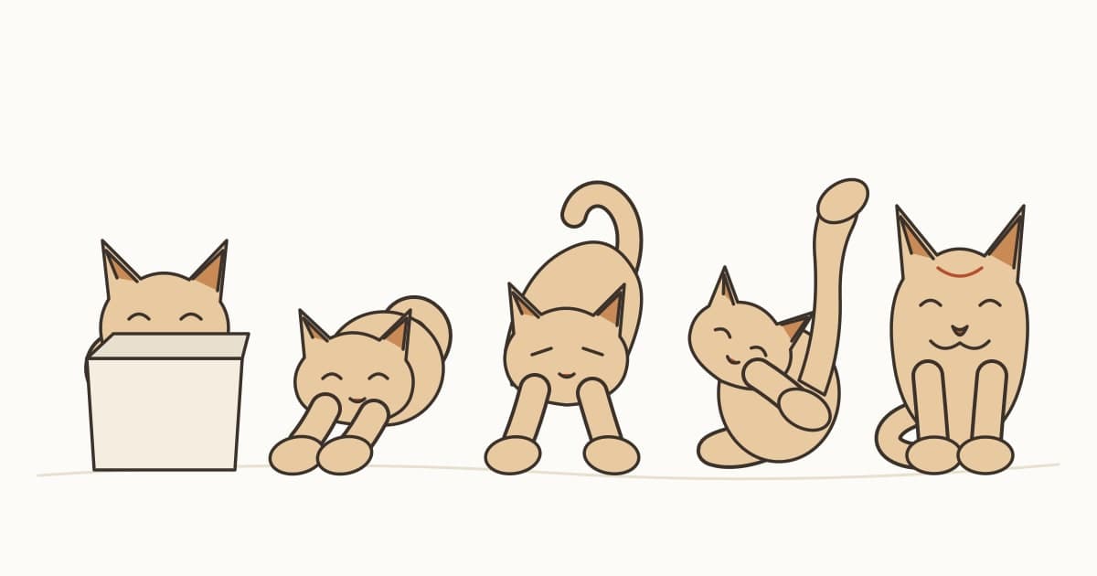 猫の性格は5タイプ？「Feline Five」と知能の関係