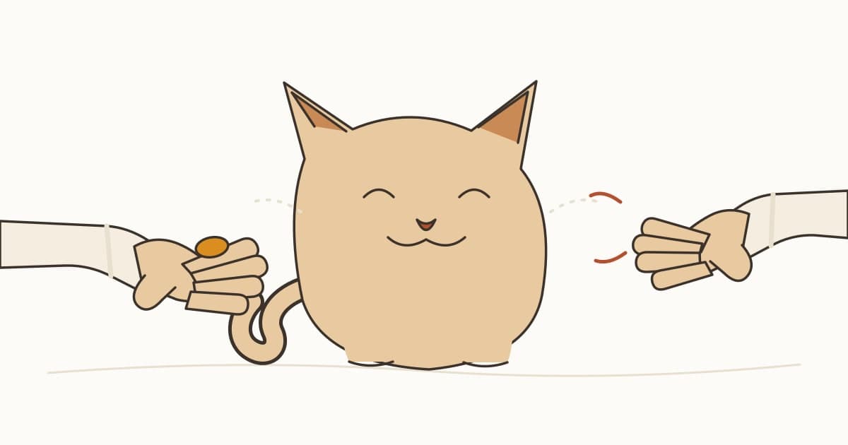 猫は飼い主に冷たくした人を避ける？第三者評価の研究