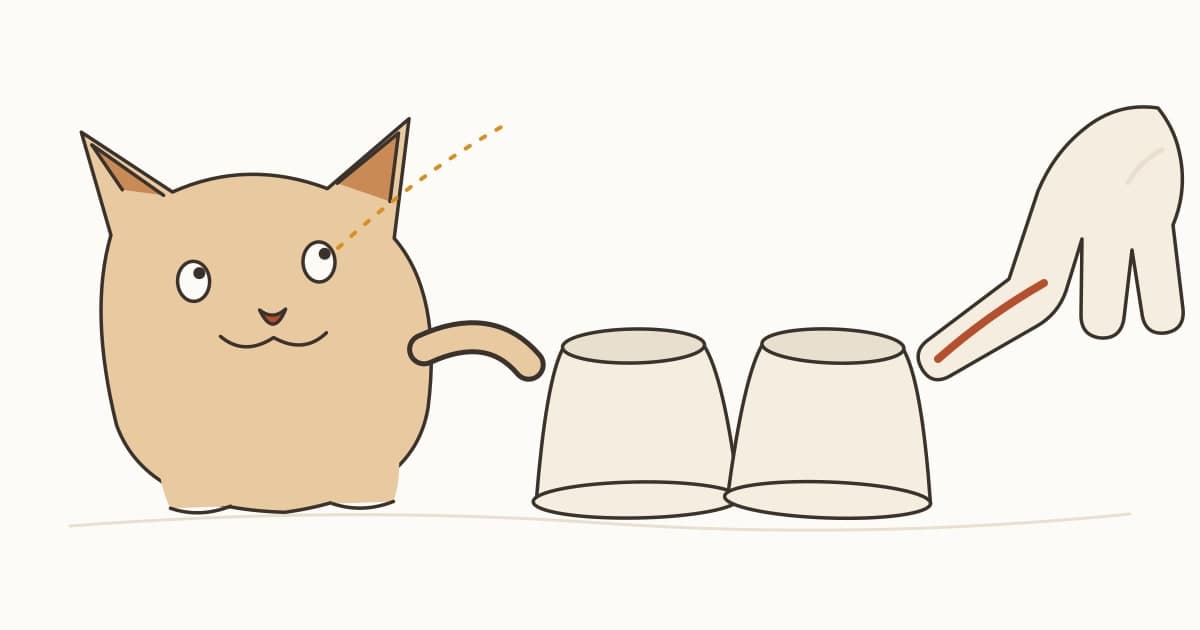猫は人の指さしを読む？社会的参照の研究