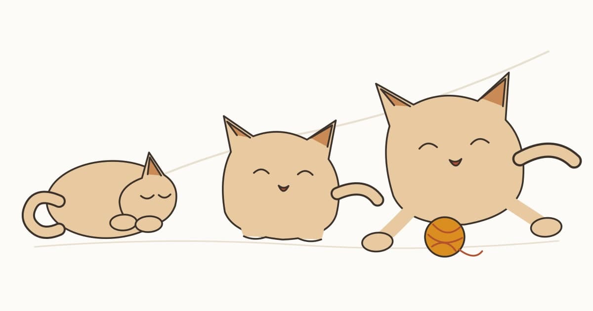 子猫の認知はいつ育つ？発達と社会化期の研究